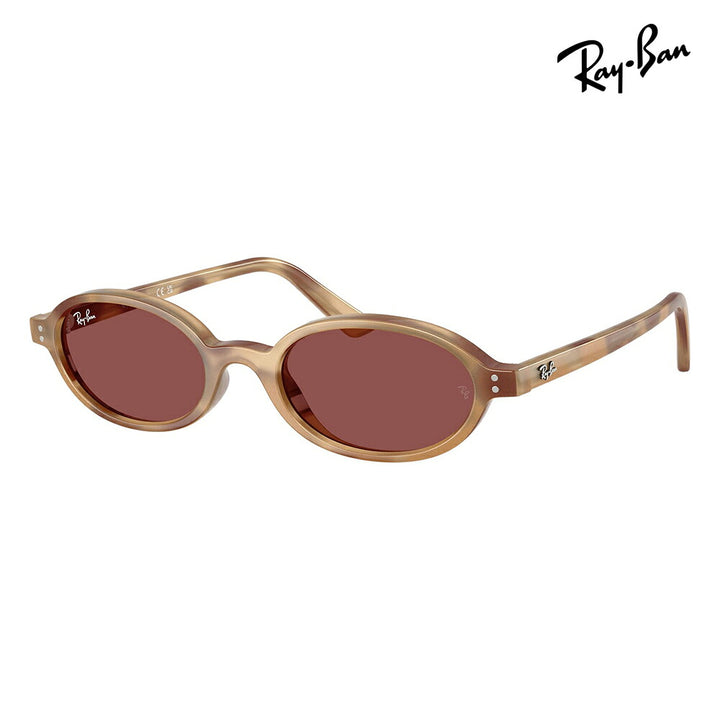 【正規品販売店】レイバンサングラス RB4472 667781 51 Ray-Ban レイバン純正レンズ対応 KHAL カル セル オーバル ユニセックス 偏光