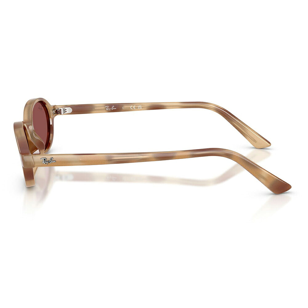 【正規品販売店】レイバンサングラス RB4472 667781 51 Ray-Ban レイバン純正レンズ対応 KHAL カル セル オーバル ユニセックス 偏光