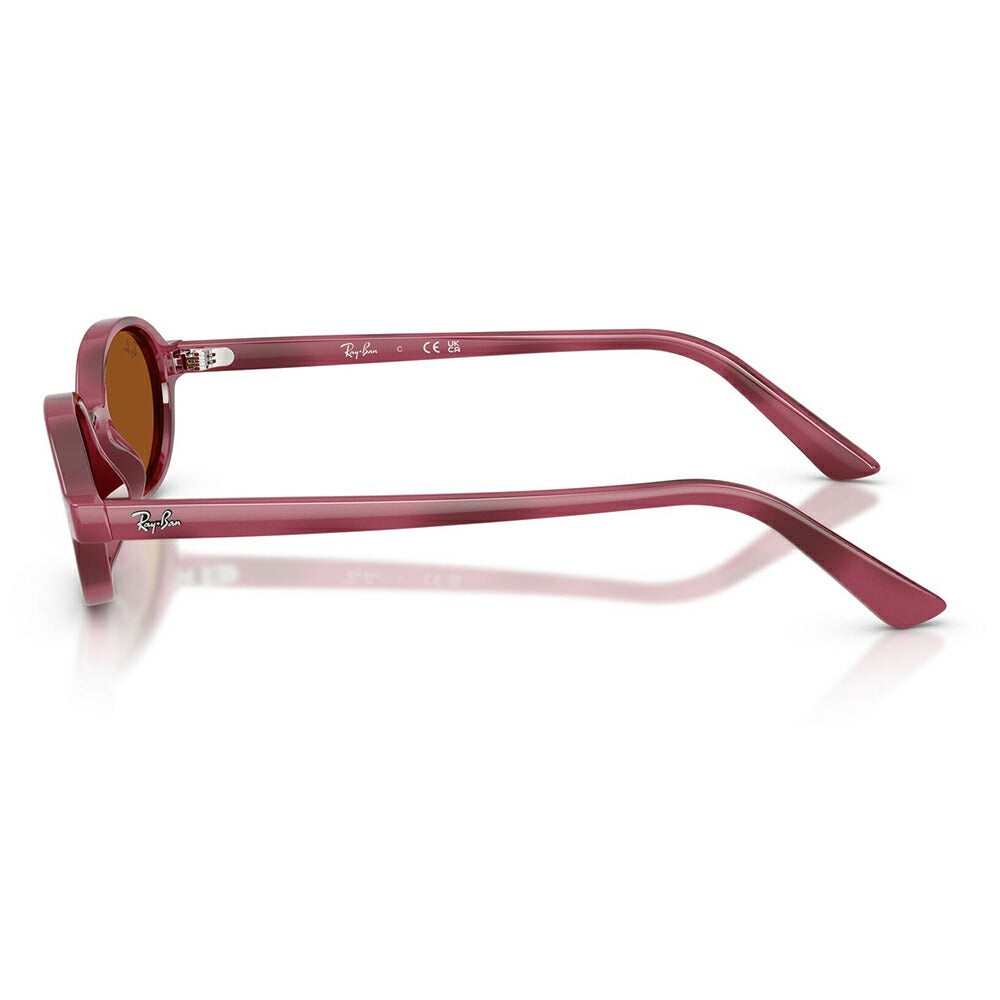 【正規品販売店】レイバン サングラス RB4472 685773 48 51 Ray-Ban レイバン純正レンズ対応 KHAL カル セル オーバル ユニセックス
