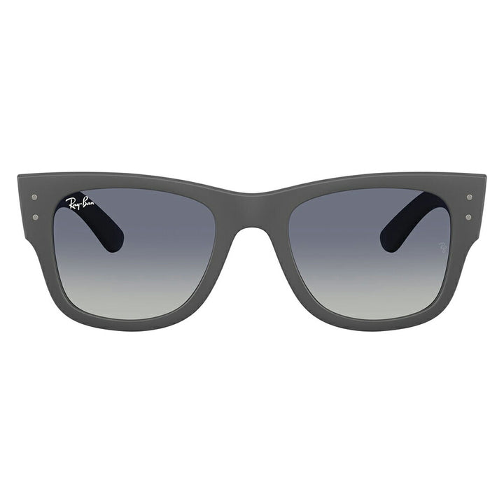 【正規品販売店】レイバン サングラス RB4840S 60174L 50 52 Ray-Ban MEGA WAYFARER LITEFORCE メガウェイファーラー セル