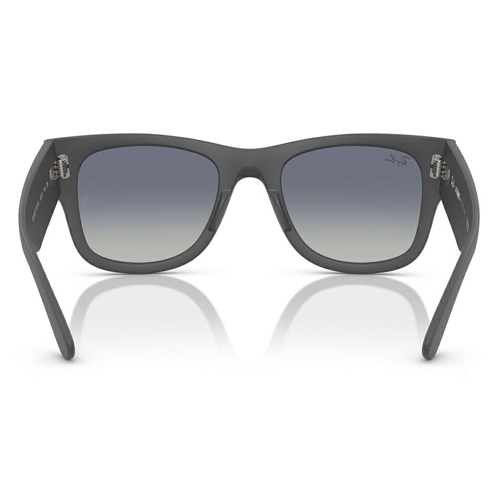 【正規品販売店】レイバン サングラス RB4840S 60174L 50 52 Ray-Ban MEGA WAYFARER LITEFORCE メガウェイファーラー セル