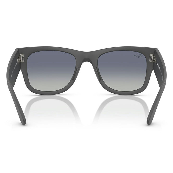 【正規品販売店】レイバン サングラス RB4840S 60174L 50 52 Ray-Ban MEGA WAYFARER LITEFORCE メガウェイファーラー セル