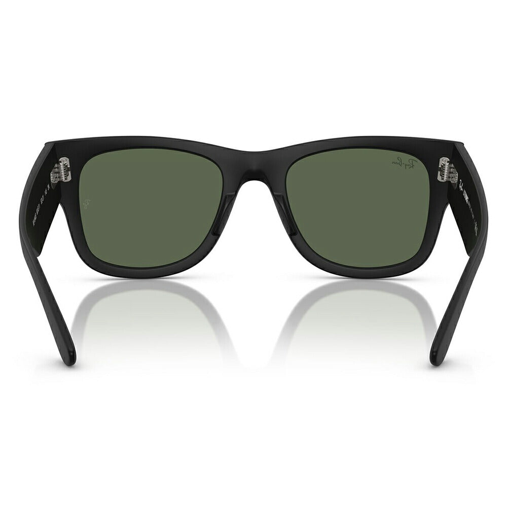 【正規品販売店】レイバン サングラス RB4840S 601S71 50 52 Ray-Ban MEGA WAYFARER LITEFORCE メガウェイファーラー セル