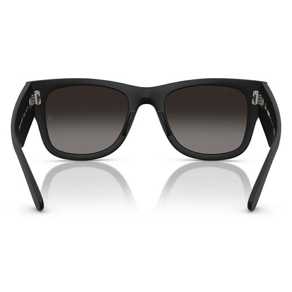 【正規品販売店】レイバン サングラス RB4840S 601ST3 50 52 Ray-Ban MEGA WAYFARER LITEFORCE メガウェイファーラー セル 偏光