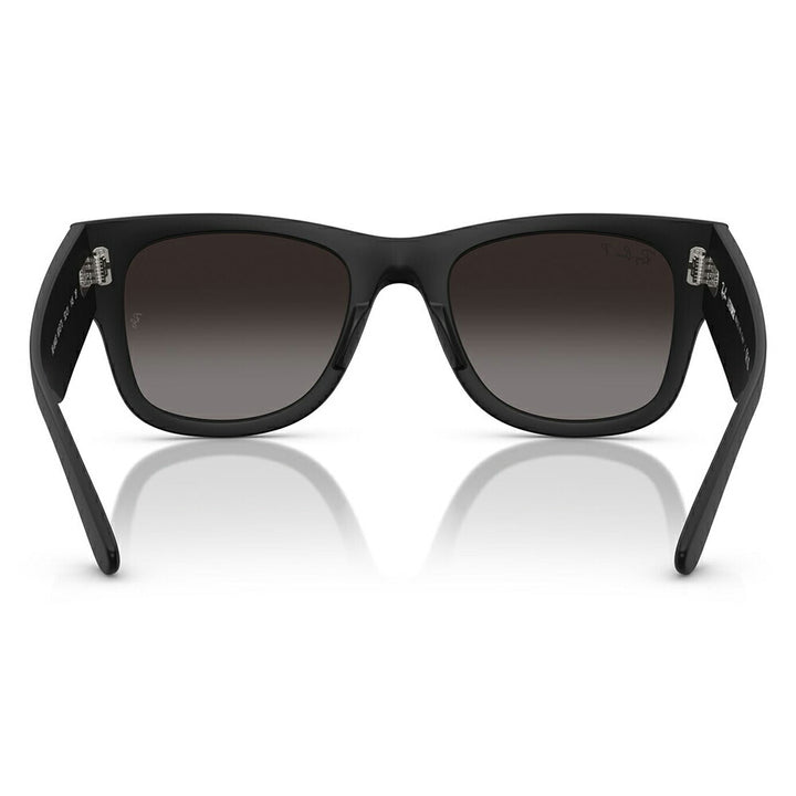 【正規品販売店】レイバン サングラス RB4840S 601ST3 50 52 Ray-Ban MEGA WAYFARER LITEFORCE メガウェイファーラー セル 偏光