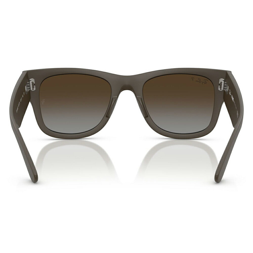 【正規品販売店】レイバン サングラス RB4840S 6124T5 50 52 Ray-Ban MEGA WAYFARER LITEFORCE メガウェイファーラー セル 偏光