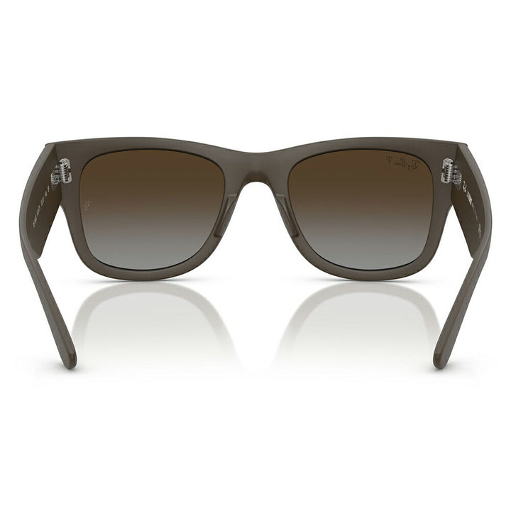【正規品販売店】レイバン サングラス RB4840S 6124T5 50 52 Ray-Ban MEGA WAYFARER LITEFORCE メガウェイファーラー セル 偏光