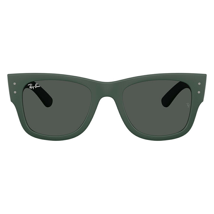 【正規品販売店】レイバン サングラス RB4840S 665787 50 52 Ray-Ban MEGA WAYFARER LITEFORCE メガウェイファーラー セル