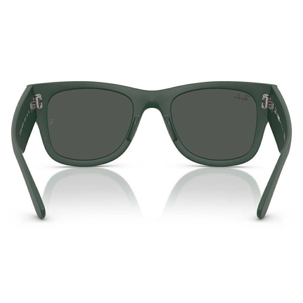 【正規品販売店】レイバン サングラス RB4840S 665787 50 52 Ray-Ban MEGA WAYFARER LITEFORCE メガウェイファーラー セル
