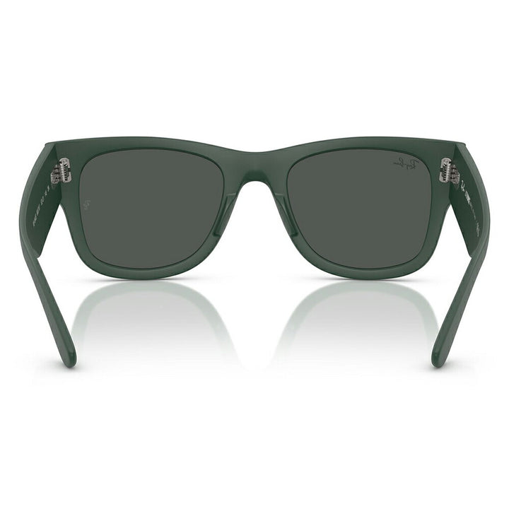【正規品販売店】レイバン サングラス RB4840S 665787 50 52 Ray-Ban MEGA WAYFARER LITEFORCE メガウェイファーラー セル