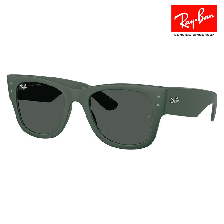 【正規品販売店】レイバン サングラス RB4840S 665787 50 52 Ray-Ban MEGA WAYFARER LITEFORCE メガウェイファーラー セル