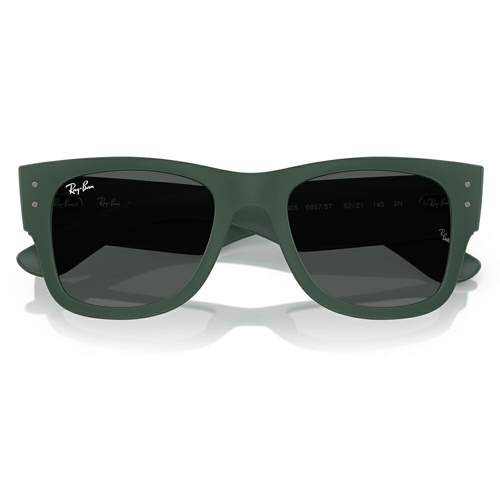 【正規品販売店】レイバン サングラス RB4840S 665787 50 52 Ray-Ban MEGA WAYFARER LITEFORCE メガウェイファーラー セル