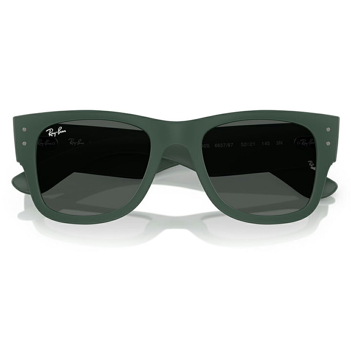 【正規品販売店】レイバン サングラス RB4840S 665787 50 52 Ray-Ban MEGA WAYFARER LITEFORCE メガウェイファーラー セル