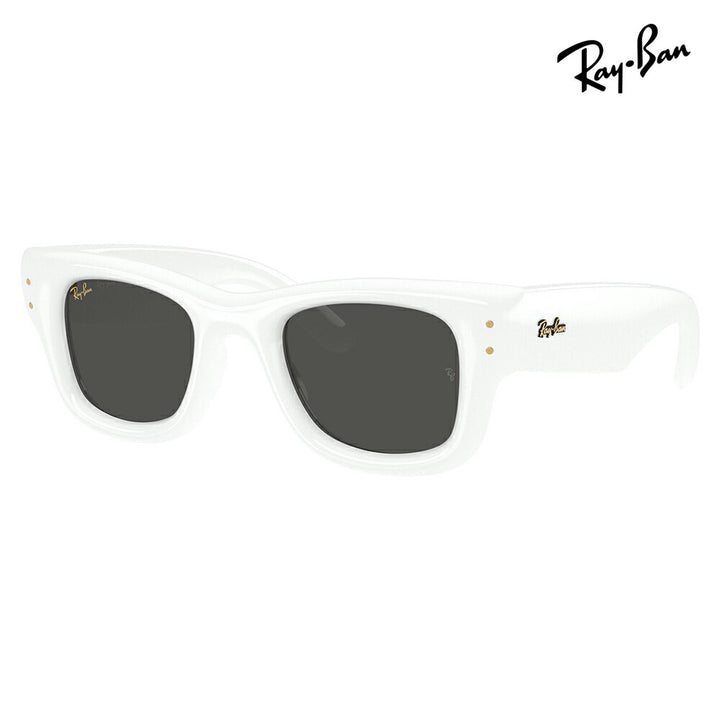 【正規品販売店】レイバン サングラス RB4940 671/87 50 Ray-Ban WAYFARER PUFFER ウェイファーラーパファー スクエア セル