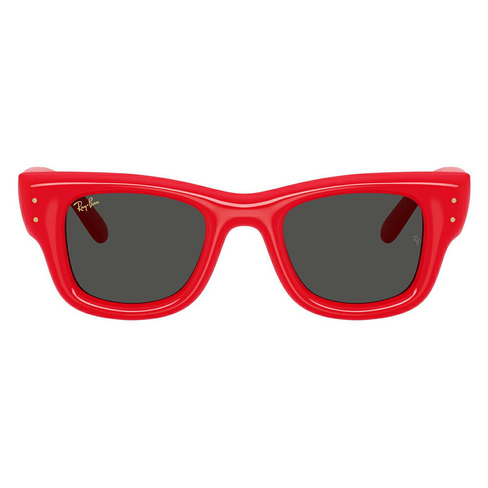 【正規品販売店】レイバン サングラス RB4940 683187 50 Ray-Ban WAYFARER PUFFER ウェイファーラーパファー スクエア セル