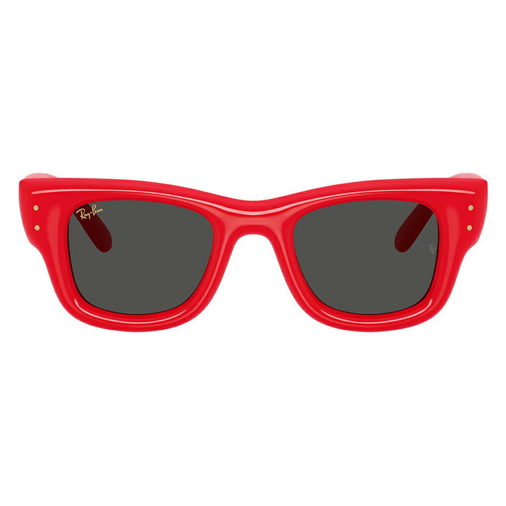 【正規品販売店】レイバン サングラス RB4940 683187 50 Ray-Ban WAYFARER PUFFER ウェイファーラーパファー スクエア セル
