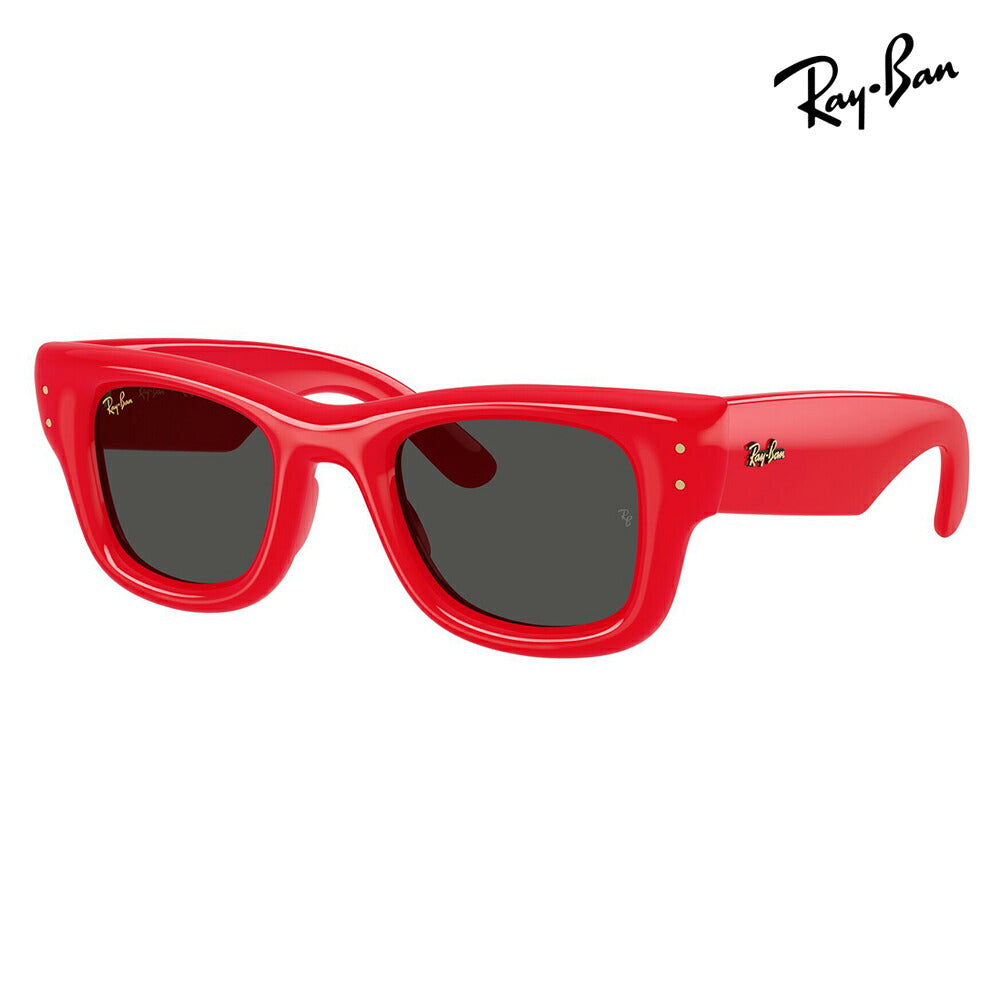 【正規品販売店】レイバン サングラス RB4940 683187 50 Ray-Ban WAYFARER PUFFER ウェイファーラーパファー スクエア セル