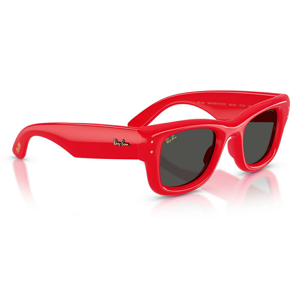 【正規品販売店】レイバン サングラス RB4940 683187 50 Ray-Ban WAYFARER PUFFER ウェイファーラーパファー スクエア セル