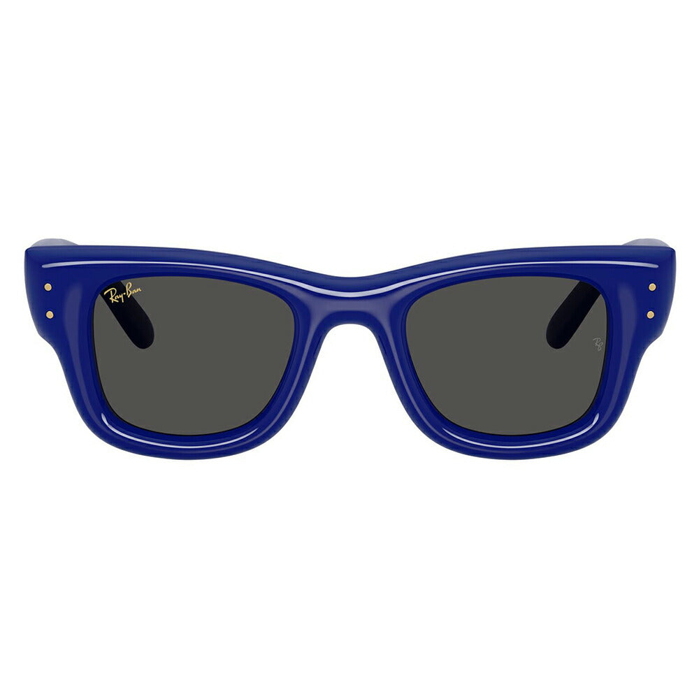 【正規品販売店】レイバン サングラス RB4940 683387 50 Ray-Ban WAYFARER PUFFER ウェイファーラーパファー スクエア セル