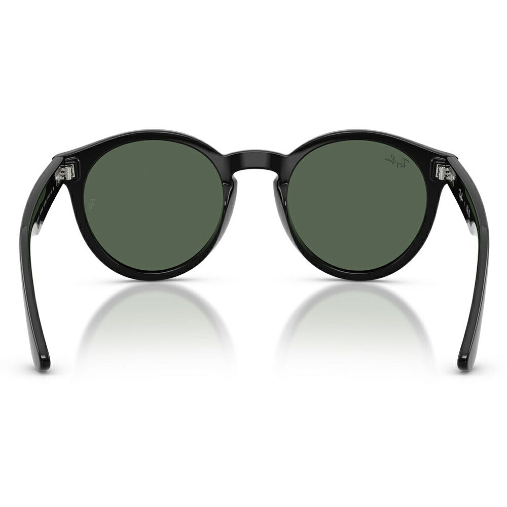 【正規品販売店】レイバンサングラス RBR0505S 6677VR 52 Ray-Ban レイバン純正レンズ対応 REVERSE FAM リバースファム パントス ラウンド
