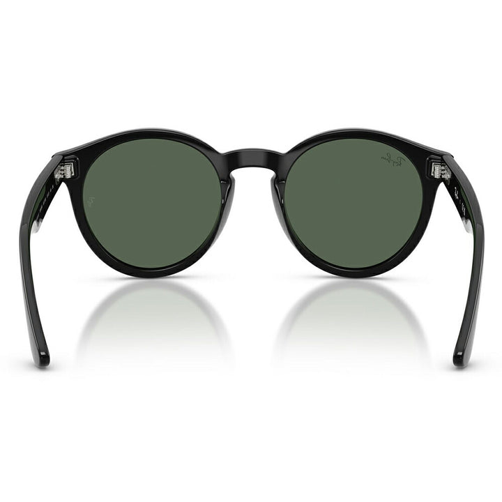 【正規品販売店】レイバンサングラス RBR0505S 6677VR 52 Ray-Ban レイバン純正レンズ対応 REVERSE FAM リバースファム パントス ラウンド