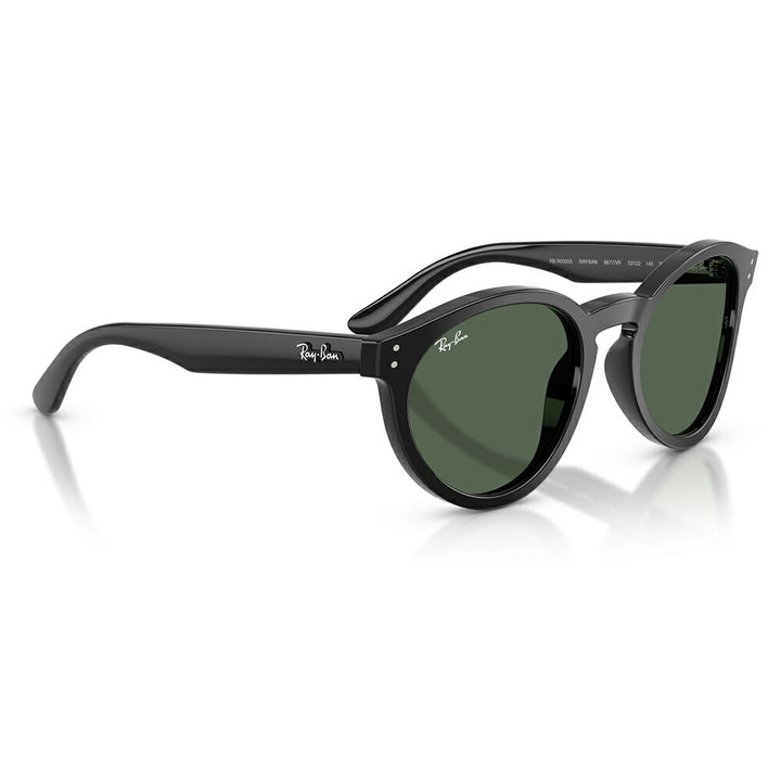 【正規品販売店】レイバンサングラス RBR0505S 6677VR 52 Ray-Ban レイバン純正レンズ対応 REVERSE FAM リバースファム パントス ラウンド