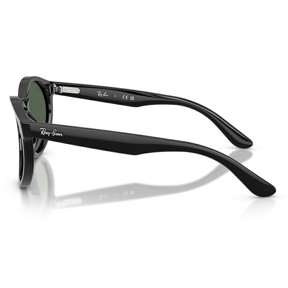 【正規品販売店】レイバンサングラス RBR0505S 6677VR 52 Ray-Ban レイバン純正レンズ対応 REVERSE FAM リバースファム パントス ラウンド
