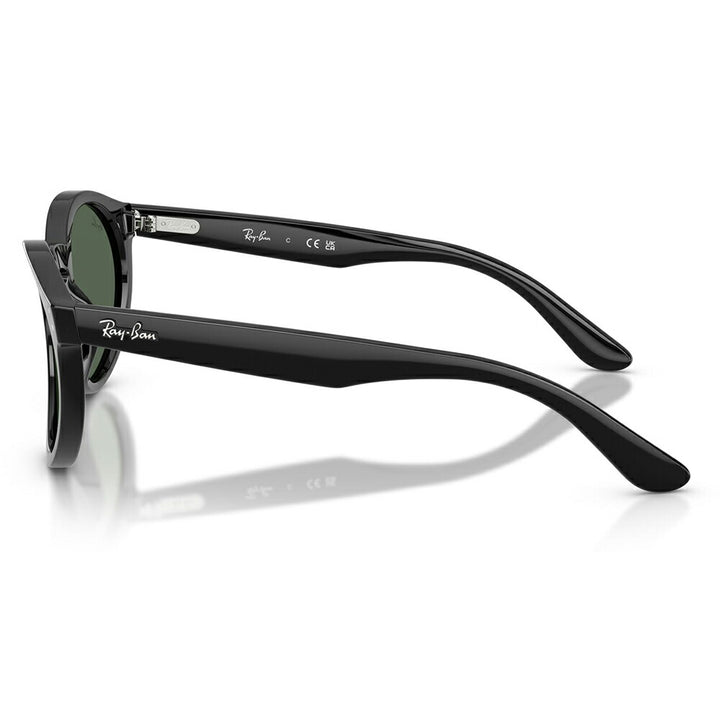 【正規品販売店】レイバンサングラス RBR0505S 6677VR 52 Ray-Ban レイバン純正レンズ対応 REVERSE FAM リバースファム パントス ラウンド