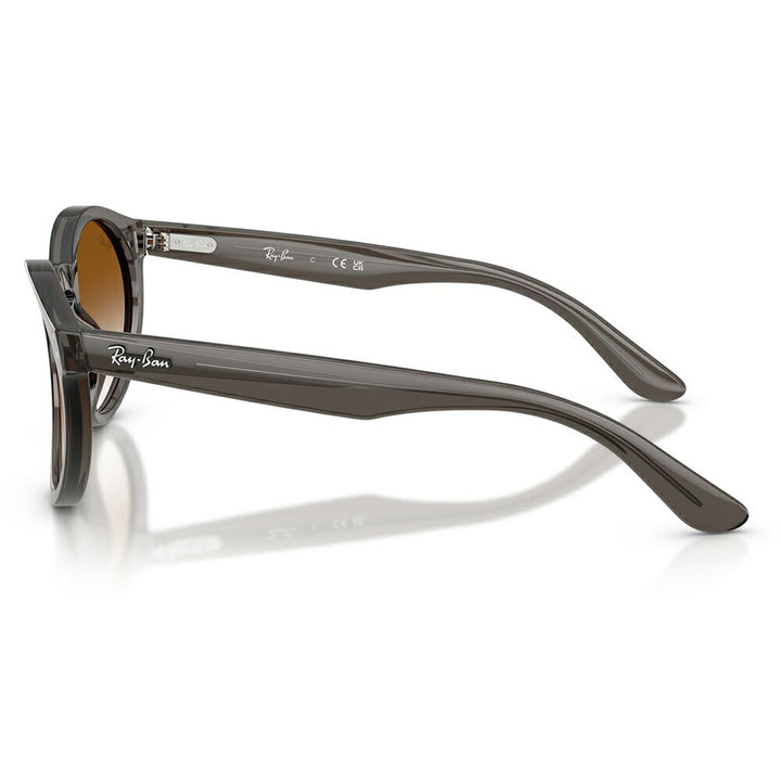 【正規品販売店】レイバンサングラス RBR0505S 6707CB 52 Ray-Ban レイバン純正レンズ対応 REVERSE FAM リバースファム パントス ラウンド