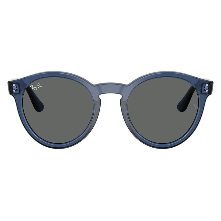【正規品販売店】レイバンサングラス RBR0505S 6708GR 52 Ray-Ban レイバン純正レンズ対応 REVERSE FAM リバースファム パントス ラウンド