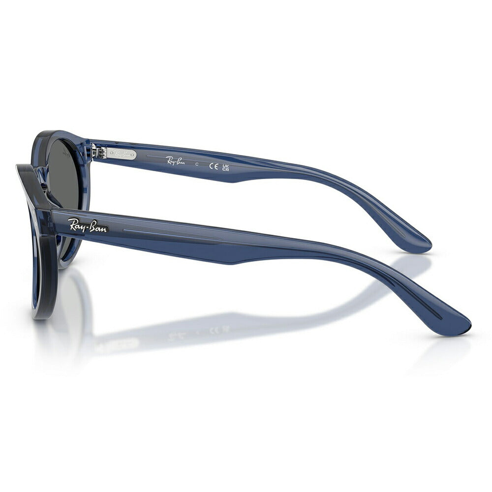 【正規品販売店】レイバンサングラス RBR0505S 6708GR 52 Ray-Ban レイバン純正レンズ対応 REVERSE FAM リバースファム パントス ラウンド