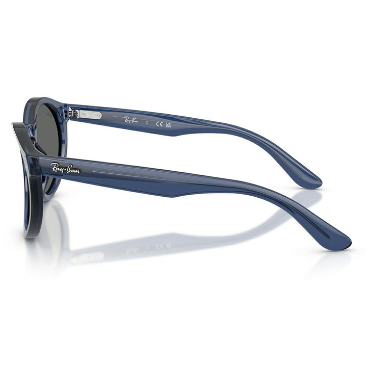 【正規品販売店】レイバンサングラス RBR0505S 6708GR 52 Ray-Ban レイバン純正レンズ対応 REVERSE FAM リバースファム パントス ラウンド