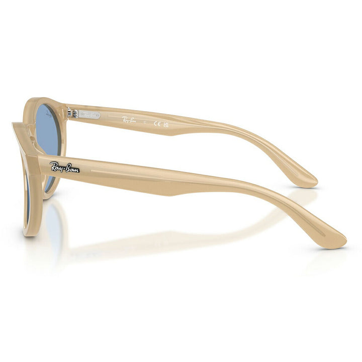 【正規品販売店】レイバンサングラス RBR0505S 678072 52 Ray-Ban レイバン純正レンズ対応 REVERSE FAM リバースファム パントス ラウンド