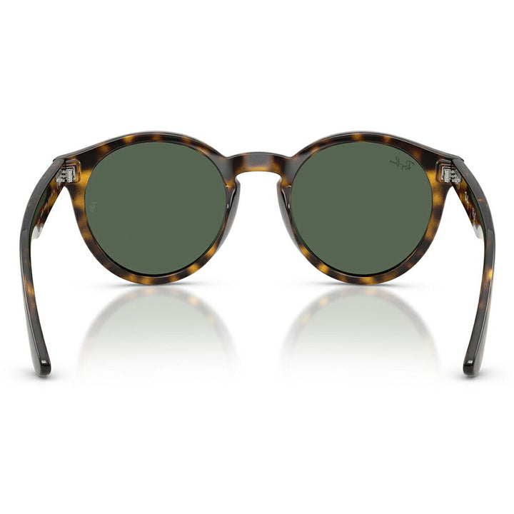 【正規品販売店】レイバンサングラス RBR0505S 6790VR 52 Ray-Ban レイバン純正レンズ対応 REVERSE FAM リバースファム パントス ラウンド