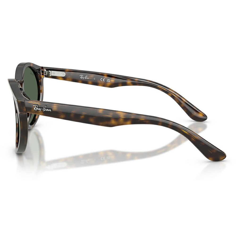 【正規品販売店】レイバンサングラス RBR0505S 6790VR 52 Ray-Ban レイバン純正レンズ対応 REVERSE FAM リバースファム パントス ラウンド