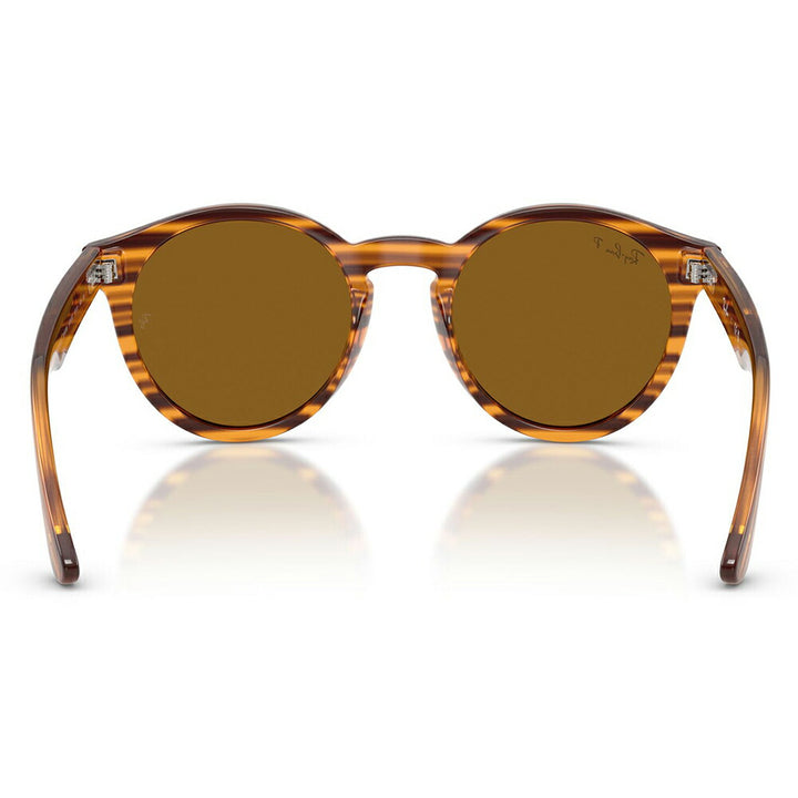 【正規品販売店】レイバンサングラス RBR0505S 679183 52 Ray-Ban レイバン純正レンズ対応 REVERSE FAM リバースファム パントス ラウンド 偏光