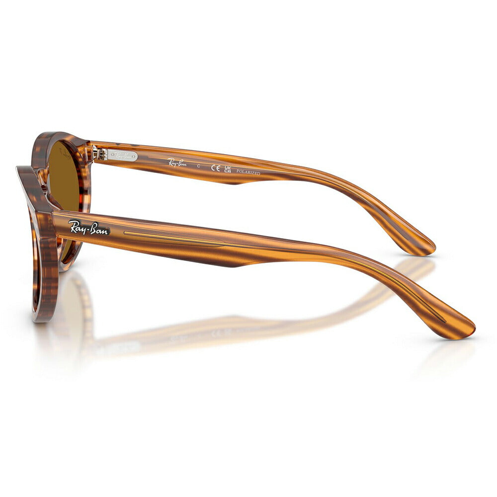 【正規品販売店】レイバンサングラス RBR0505S 679183 52 Ray-Ban レイバン純正レンズ対応 REVERSE FAM リバースファム パントス ラウンド 偏光