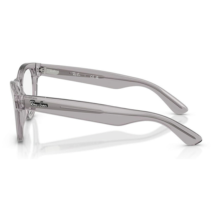 【正規品販売店】度なし1.55レンズ交換+0円 レイバン メガネ フレーム RX5510 2102 50 52 Ray-Ban レイバン純正レンズ対応 SKYLER スカイラー パントス セル レディース