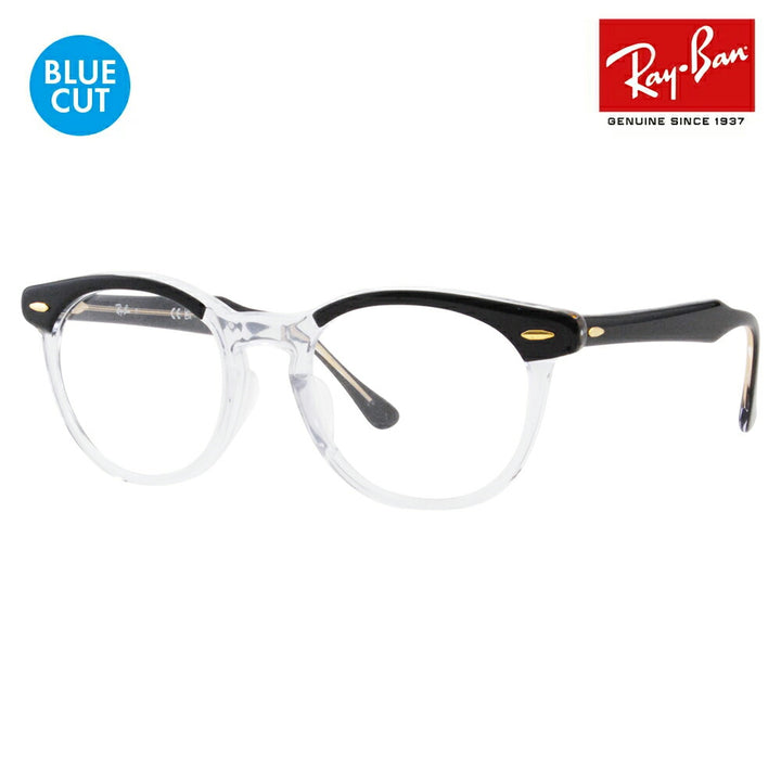 【正規品販売店】レイバン メガネ フレーム ブルーライトカットレンズセット RX5598F 2034 51 Ray-Ban Eagle Eye イーグルアイ ラウンド ボストン クラシック 伊達メガネ 眼鏡 サングラス PCメガネ 度付き対応可